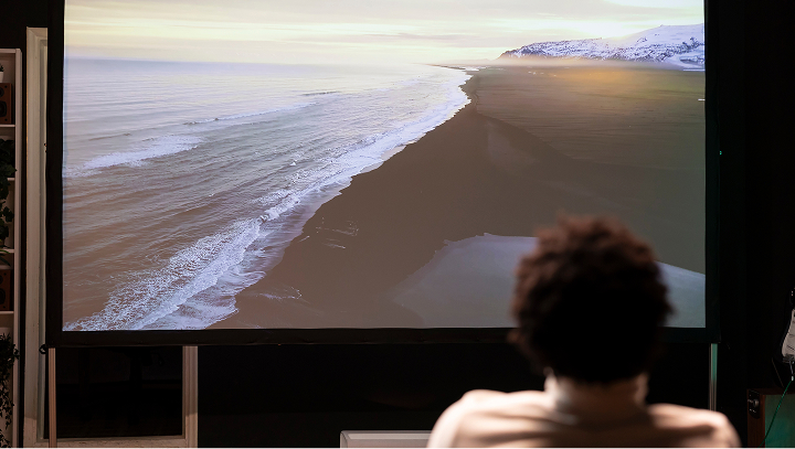 社影木のイメージ写真